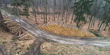 Jacksonville Helicopter Log Transport