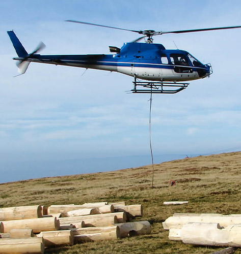 Jacksonville Helicopter Logging